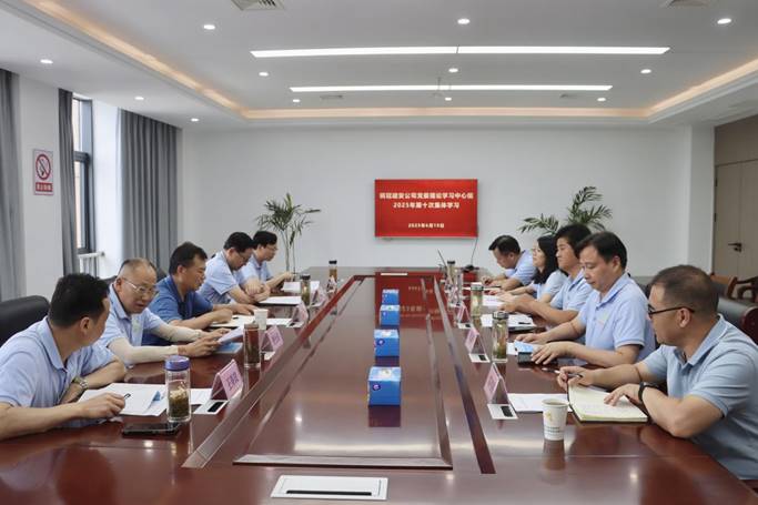 公司黨委中心組召開學習研討會